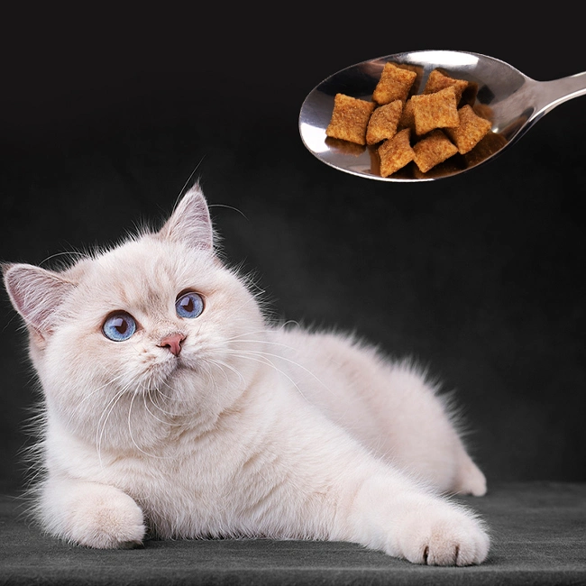 Frango com biscoitos de peixe Fornecedor de alimentos para Animais de Estimação Cat