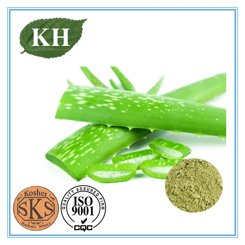 Professional Manufacturer Aloe Vera Extract Gel Freeze Dried Powder