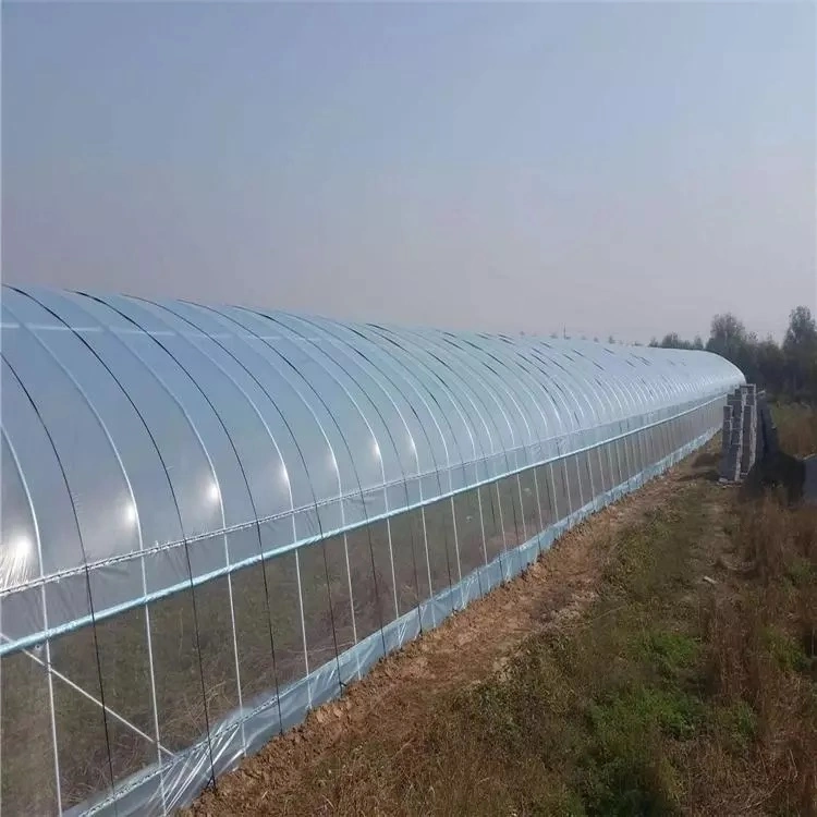 Customized Commercial Garden Hydroponic Systems Steel Structure Plastic Aeroponics System Greenhouse