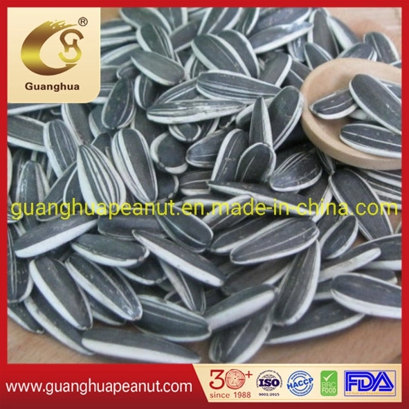 New Crop Good Quality Sunflower Seeds 601