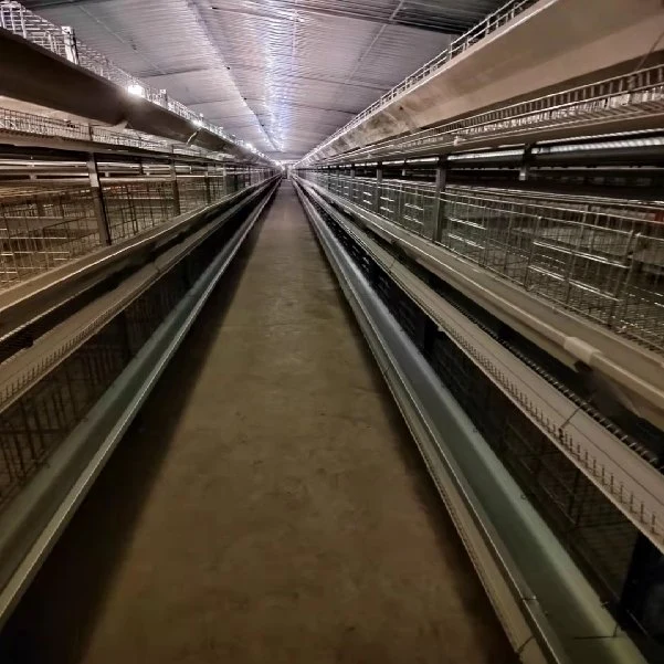 6 niveaux de la couche d'oeufs de poulet pour la Tanzanie des cages en batterie ferme avicole