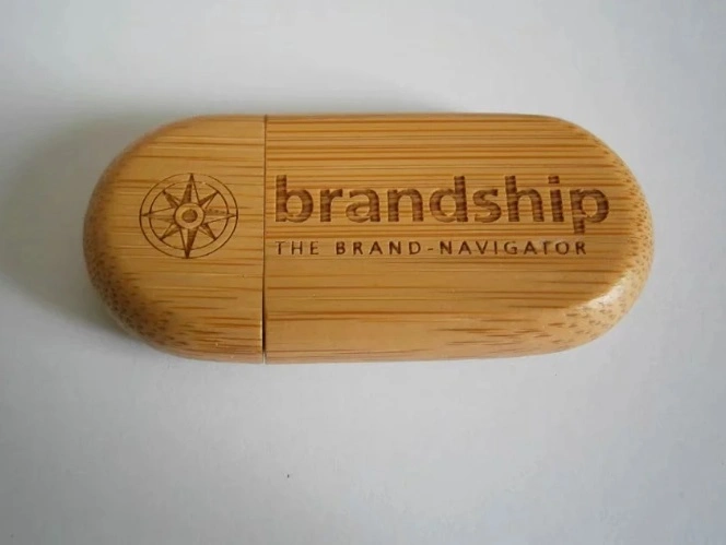 Oval Shaped Eco Wooden Bamboo Paper Material USB Flash Drive