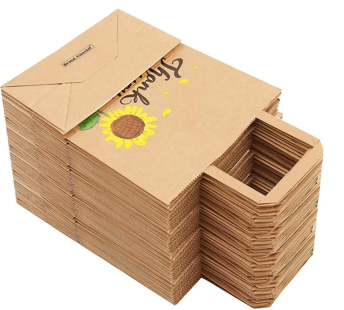 Eco Friendly Kraft Paper Bag for Wedding Birthday Gift Promotion Retails Packaging