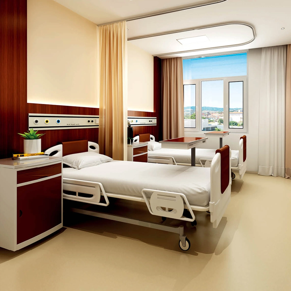 Medical Furniture Manufacturers Supply Solutions Multi-Functional Health Care Nursing Bed Accessories