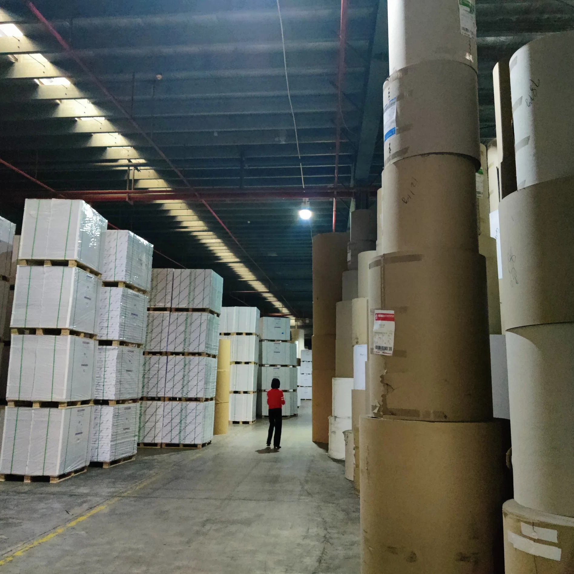 Virgin Pulp Unprinted Paper Roll Raw Materials for Paper Cups