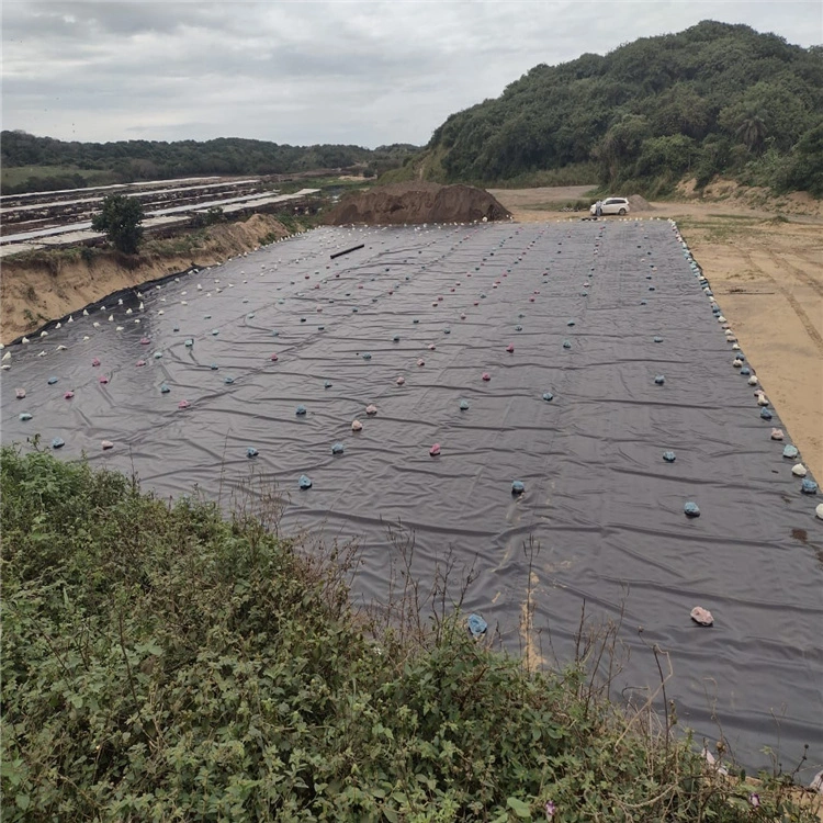 HDPE Geomembrane 0.5mm 0.75mm 1.0mm 1.5mm Pond Liner