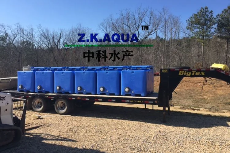 Fish Transport Container Transportation HDPE Live Fish Transport Bin