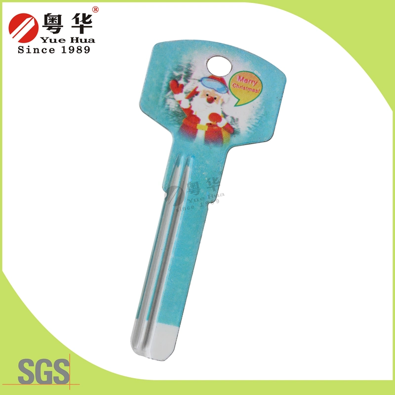 Factory Price Hot Sales Custom Colorful Fashion Metal Art Blank Key for Locks