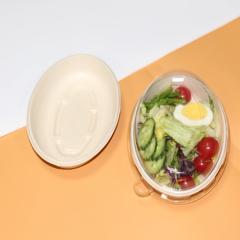 Eco 100% Compostable Eco-Food Packaging One Single Use Biocane Plate Salad Plate Oval Paper Bowl Dinnerware Set Menu Bowl Sugarcane Fiber Bowl with Clear Window