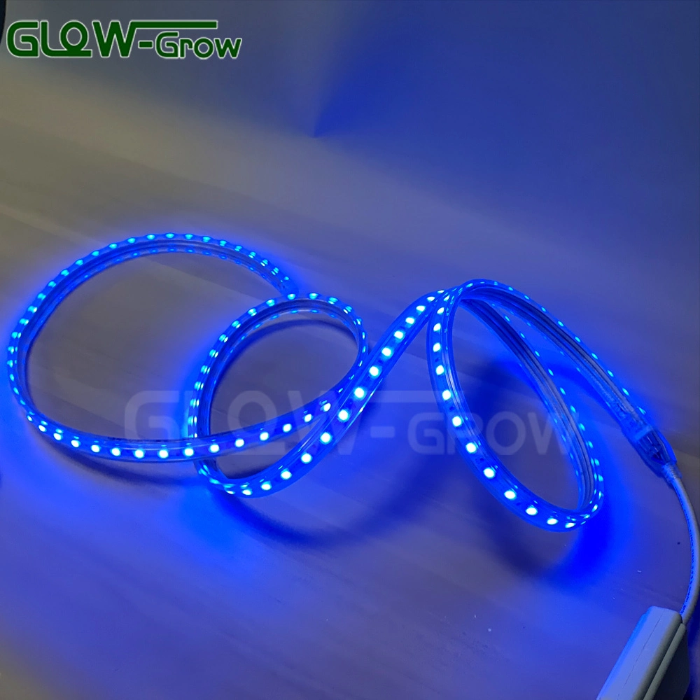 IP65 Flexible Color Changing High Voltage PVC Rope Light RGB LED Strip Light with IC Design