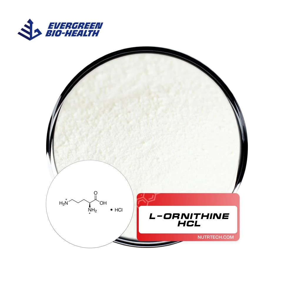 L-Ornithine Hydrochloride Nutritional Supplements L-Ornithine HCl with Low Price