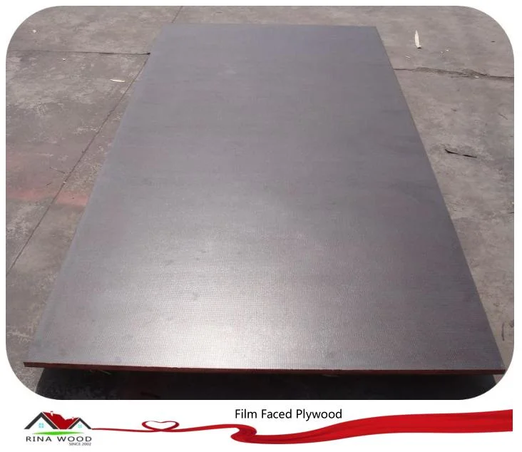 Black Film Poplar Core Marine Plywood to Dubai Market