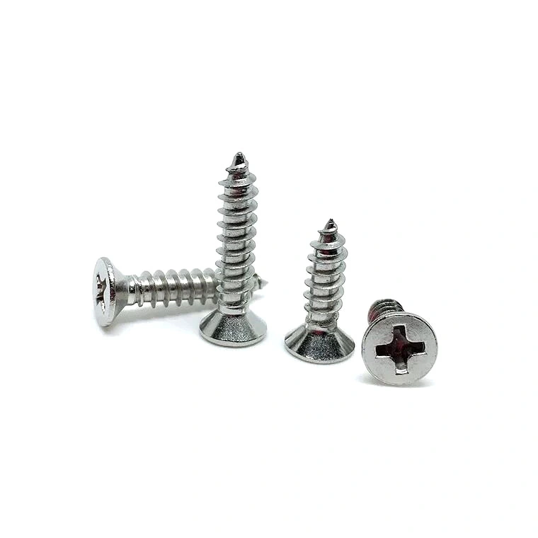 Stainless Steel 304 316 Self Tapping Screw Csk Head