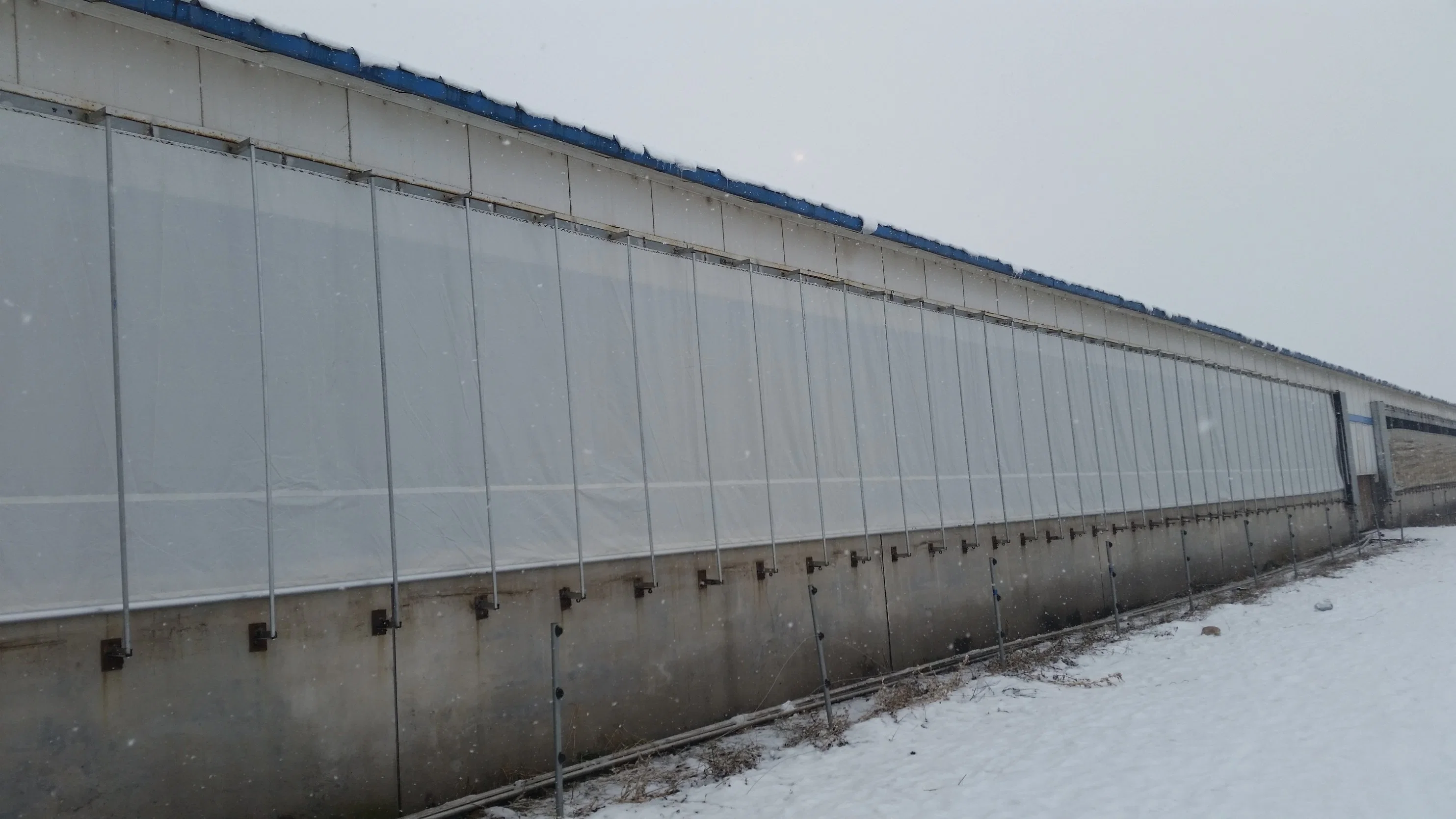 Windproof Rolling Shutter Window / Cow Equipment / Cattle Equipment