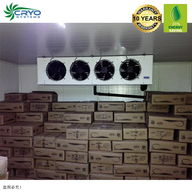 B18 20% Power Saving Potato European Quality Cold Storage for Fruit and Vegetable Warehouse Chiller Room 100t 5c