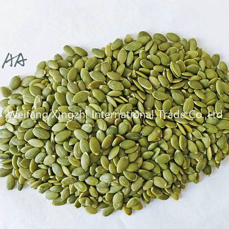 Cheap Price Export Standard New Crop Shine Skin Pumpkin Seeds Without Shell