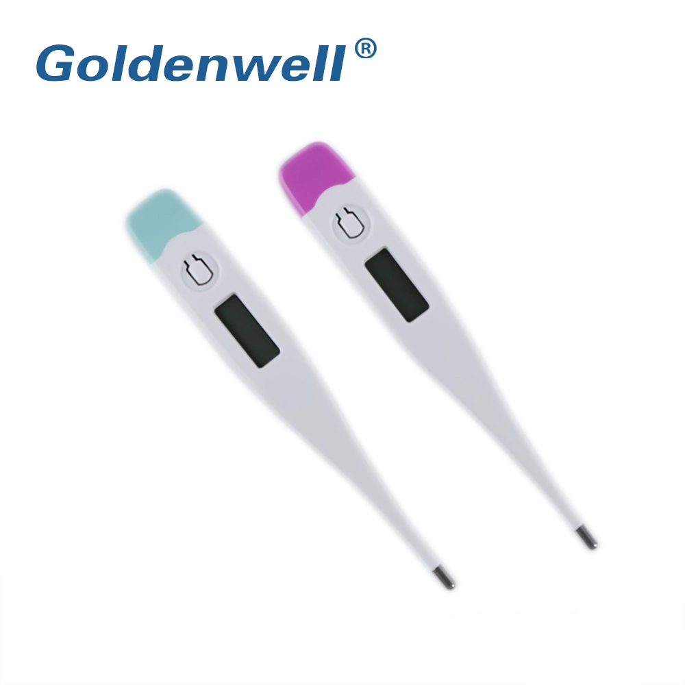 Wholesale/Supplier Low Price Portable Digital Thermometer Medical with CE ISO