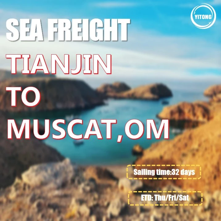 International Shipping by Sea From Shenzhen to Muscat Oman