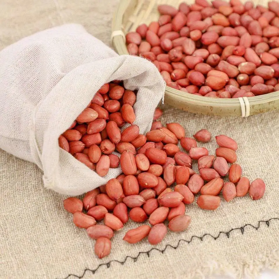 Jumbo Peanuts Groundnuts Raw Peanut Kernel