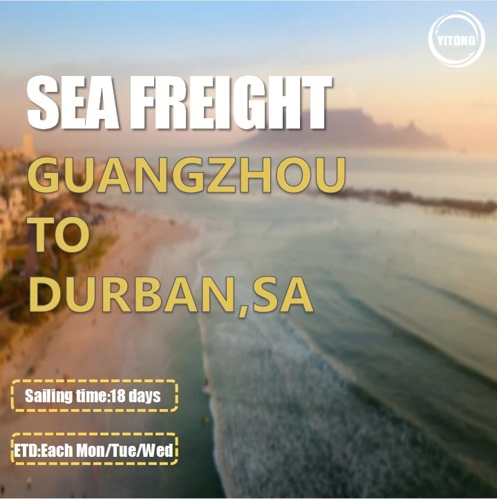 FCL Sea Shipping Agent From Qingdao to Mombasa Kenya