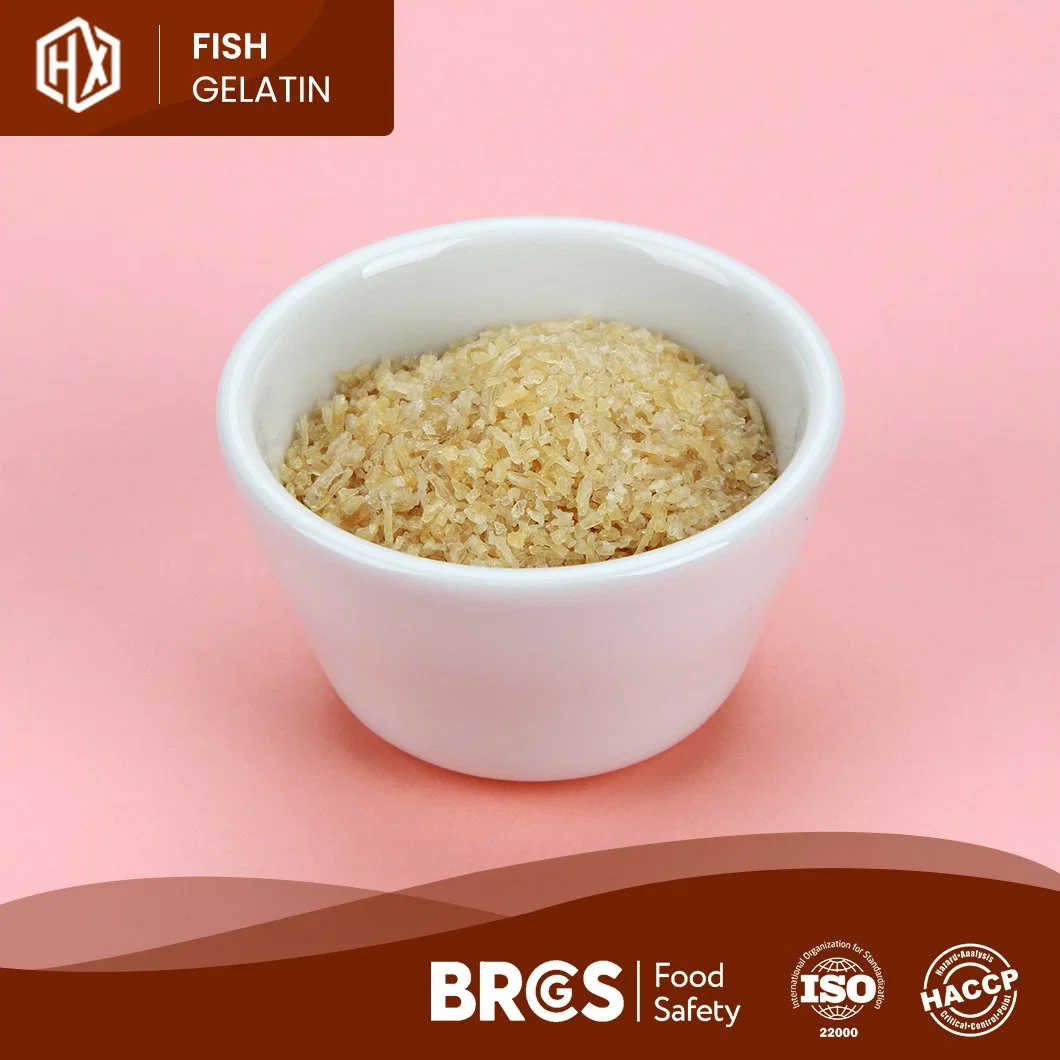 Haoxiang OEM Customized Cod Fisch Haut Gelatin China Halal Cod Fischhaut Gelatin Herstellung Lebensmittelqualität 105% Pudermood Cod Fisch Hautgelatin