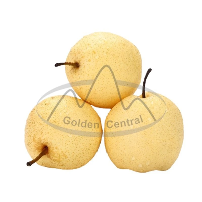 New Season High quality/High cost performance  Fresh Ya Pears with Factory Price