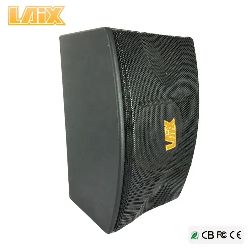 120W 10 Inch Black Karaoke Wall Speaker for Conference and KTV