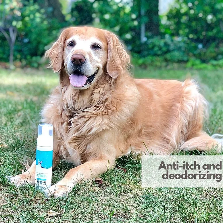 OEM ODM Food Grade Wasserlose Hund Dry Shampoo für Hunde Und Katzen 50ml Pet Products Pet Dry Clean Shampoo