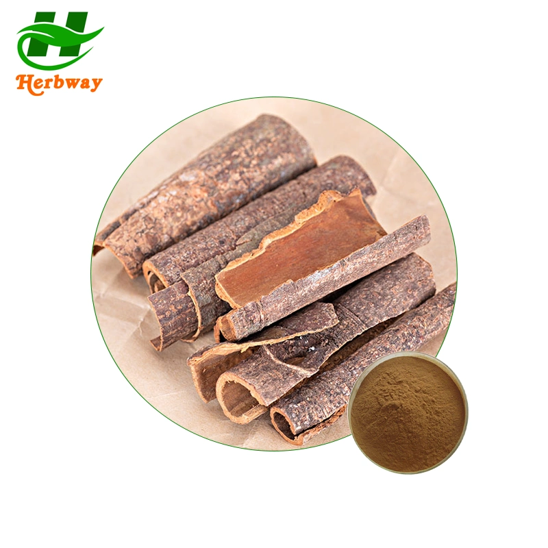 Herbway Free Sample Cinnamon Powder Cinnamon Bark Extract 30%Polyphenol