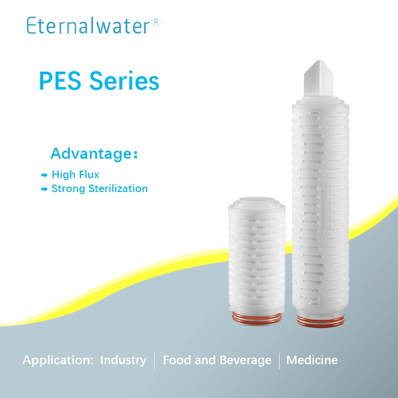 FDA Standard Cost-Effective 69mm Diameter Micro Pleated Filter Cartridge for Water Treatment