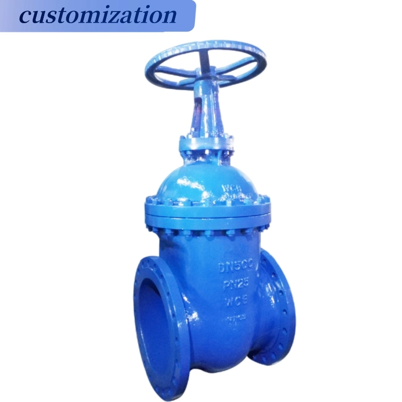 Stainless Steel Material Flange Gate Valve Hard Seal Valves and Fitting