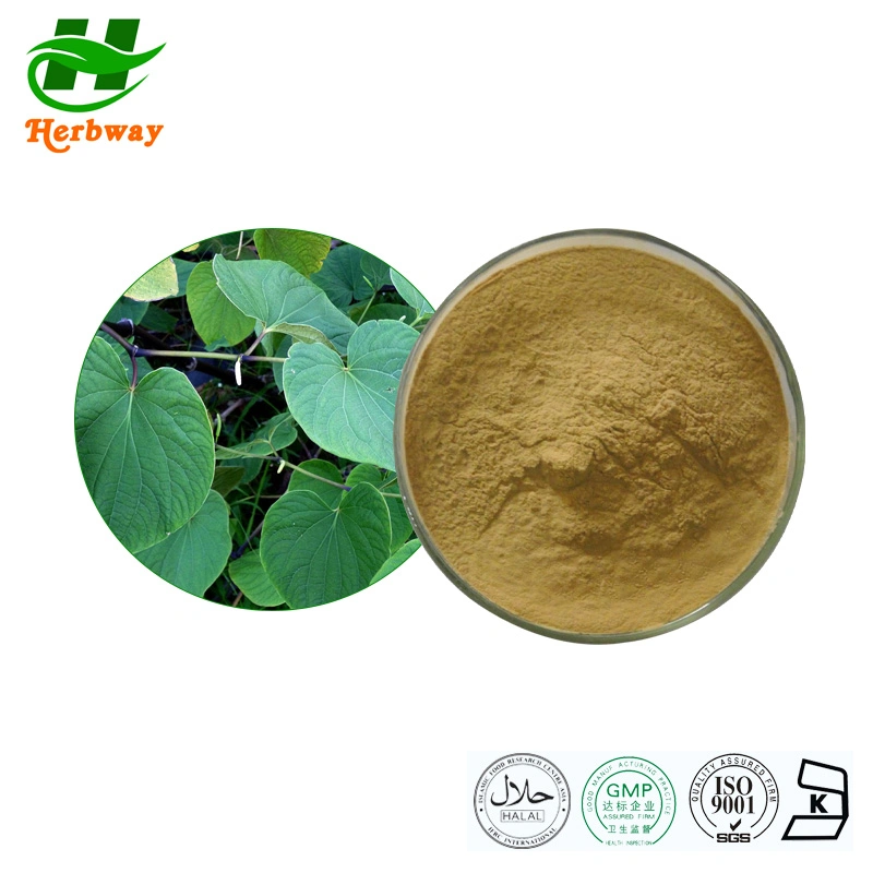 Herbway Kosher Halal Fssc HACCP Certified CAS 9000-38-8 Kavalactones Kava Extract with Free Sample