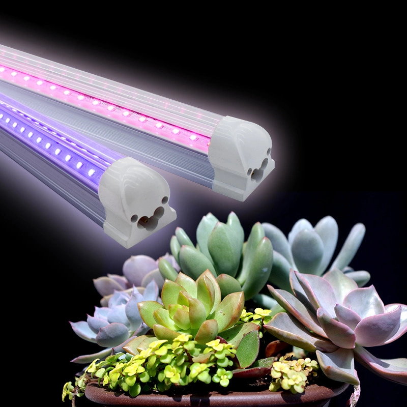 LED Grow Light Waterproof Phytolamp 2835 LEDs Chip Phyto Growth Lamp 265V Full Spectrum Plant Lighting for Indoor Plant