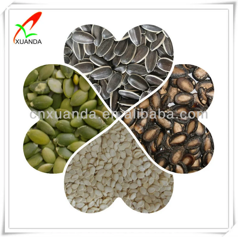 Chinese Black and White Raw 361 Sunflower Seed
