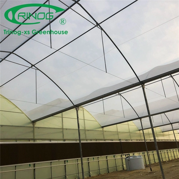 Agricultural Durable Smart Multi-span Film Greenhouse for Seeding Planting