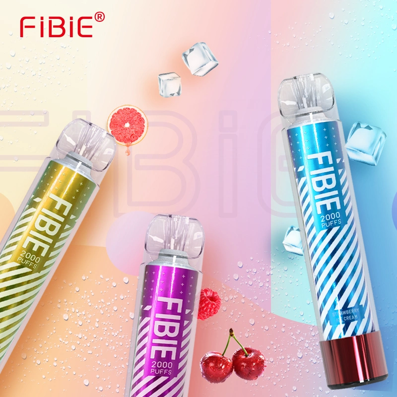 2023 New Arrival Factory Price 2000 Puffs Different Flavors 550 mAh Disposable/Chargeable Vape Pen Type C Charger