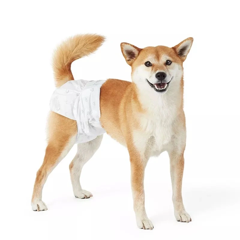 Disposable Pet Baby Adult Dog Diapers Disposable Male High Absorbent Dog Diaper