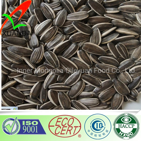 Raw Natural Chinese Wholesale/Supplier Sunflower Black Seeds Sunflower Seeds Wholesale/Supplier