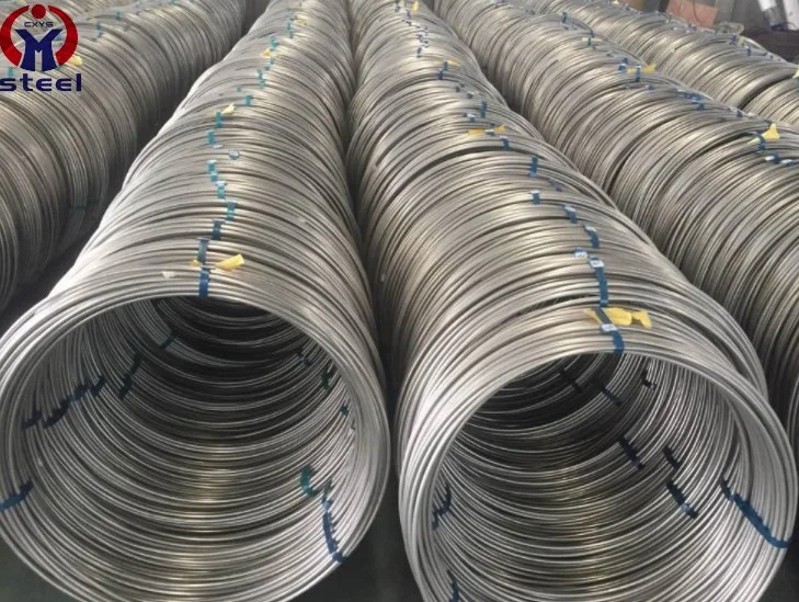 SS304 316 316L 321 Stainless Steel Welded Wire Mesh Heat Resistant Wire