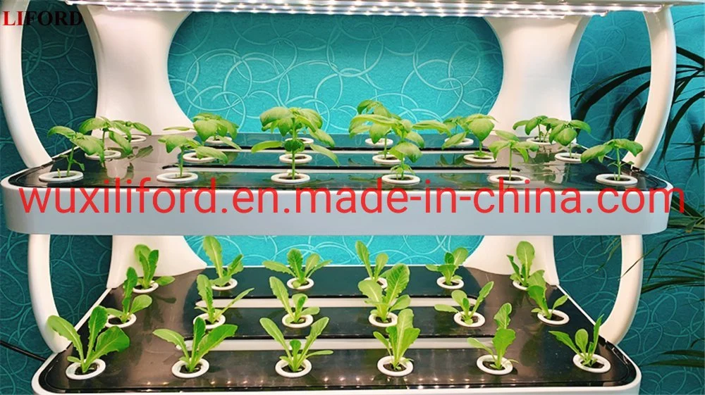 Vertical Farming Hydroponics System for Leafy Vegetables Planting