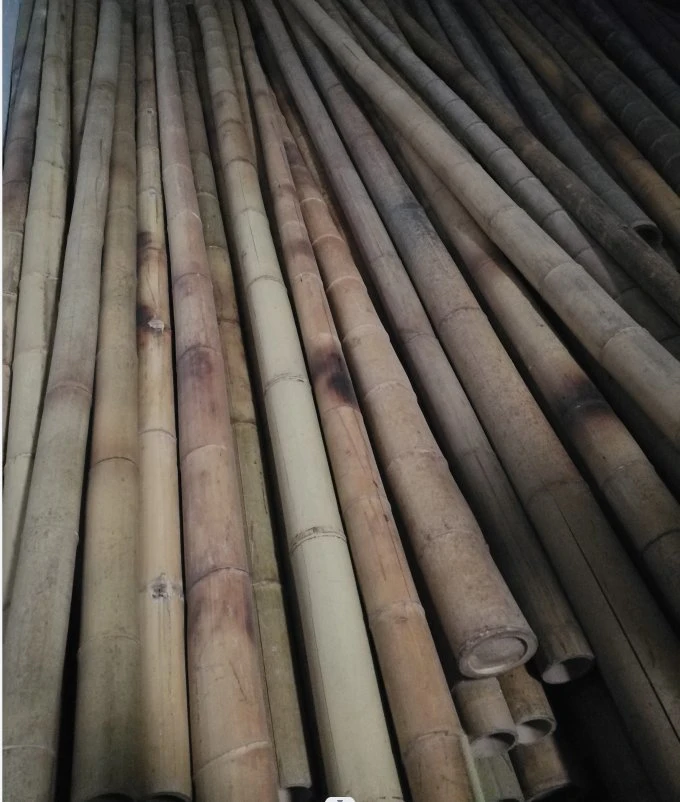 Moso Bamboo Poles Canes Stakes Sticks Farming Support Gardening Decor