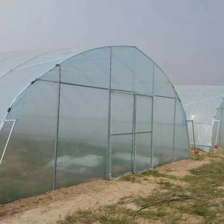 PE or Po Film/Plastic Production Xinhe Greenhouses Single Multi-Span Greenhouse