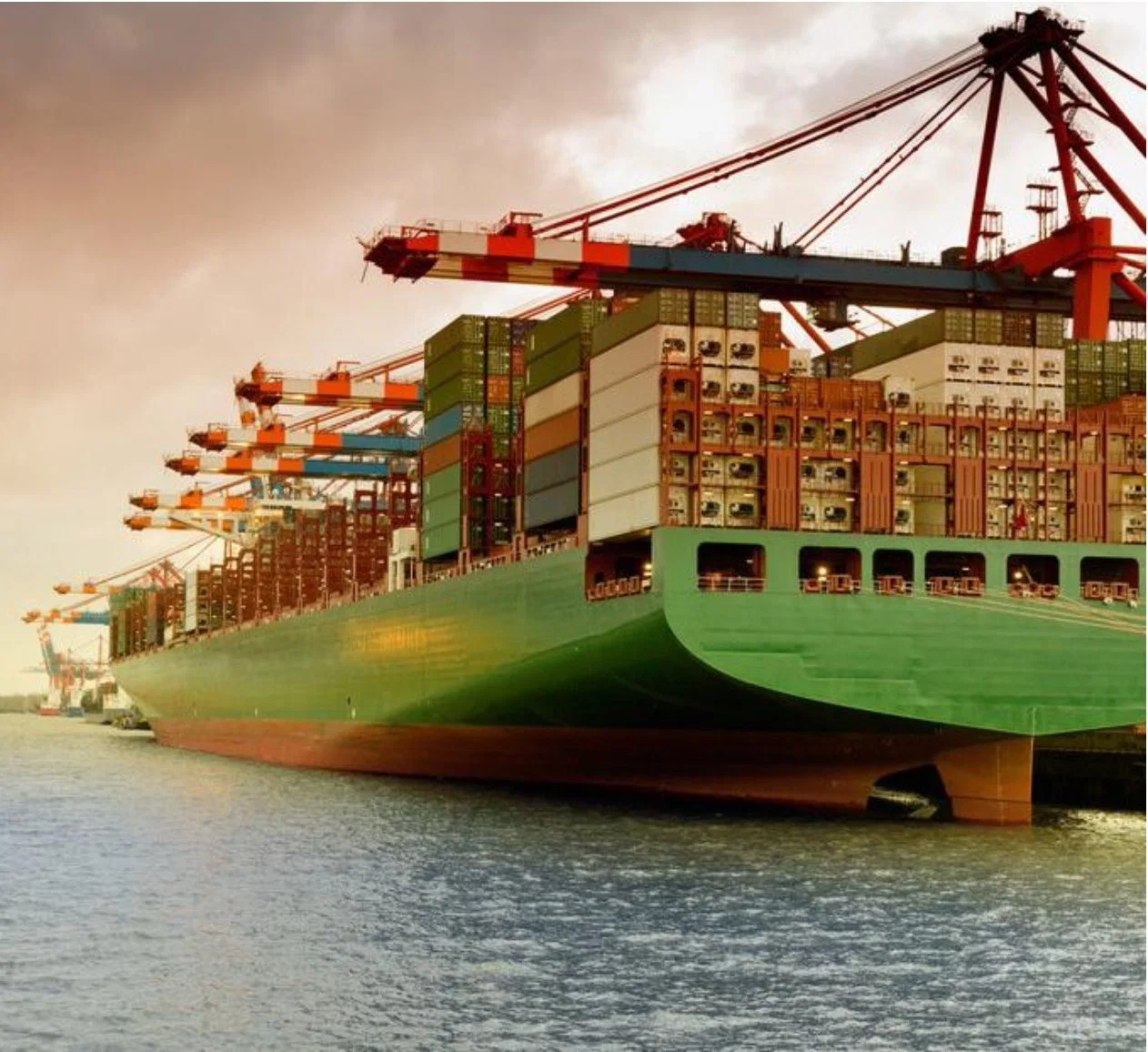 Ocean Shipping International Freight Forwarder Sea Freight Rates China to Australia/Singapore