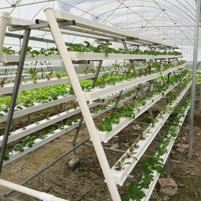 Systèmes de canaux de culture hydroponique en PVC Nft pour l'agriculture.