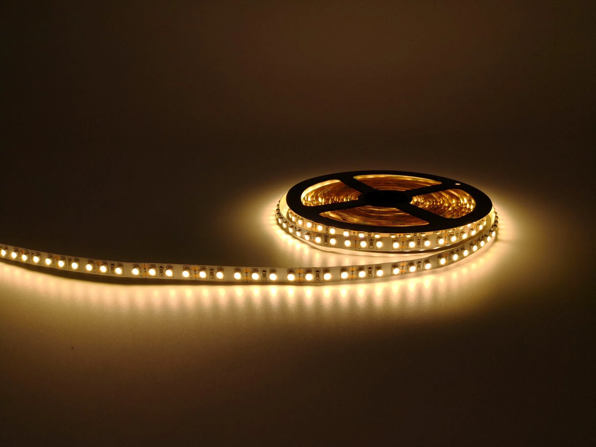 Holiday light Smart DC24V 12V Indoor 120leds/m SMD 3528 Flexible Led Strip Light