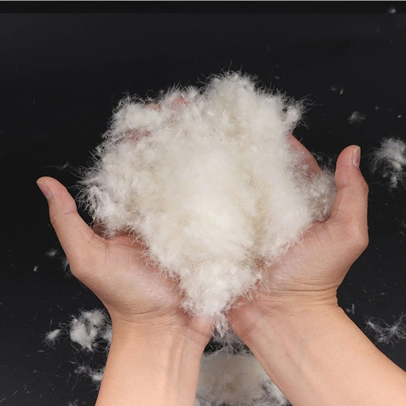 Down Supplier Wholesale/Supplier 90% Washed White Duck Down Feather Raw Materials for Household Bedding