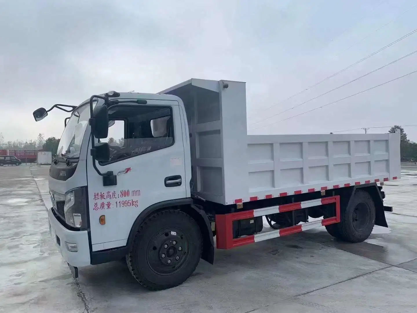 Os veículos pesados novos Sino Sinotruk HOWO Beiben Dongfeng Shacman Foton 4X2 6X4 8X4 Dumper tombamento da caixa basculante Caminhão Basculante