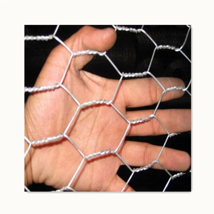 Factory Wholesale/Supplier 6FT Chicken Iron Wire Mesh Galvanized Hexagonal Wire Netting