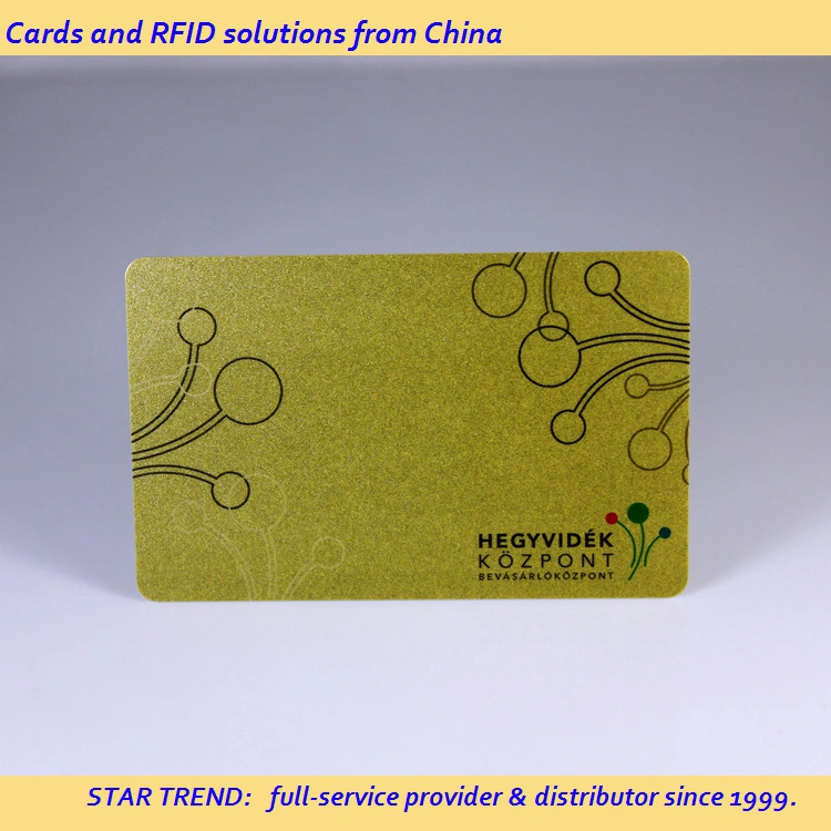 Four Color Cr80 Standard Card with Magnetic Stripe for Hair Salon