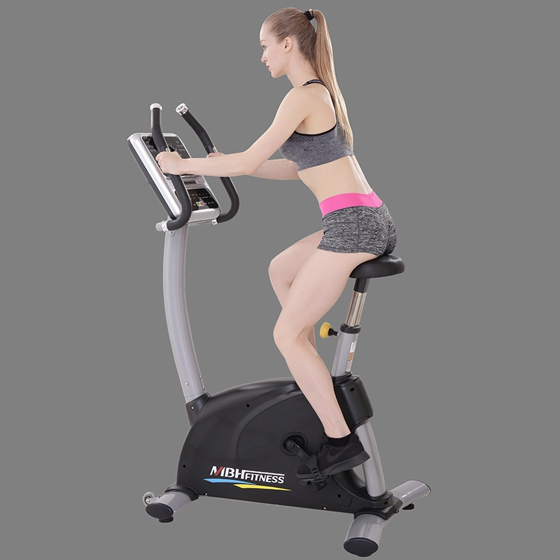 Home Sports High quality/High cost performance  Commercial Gym Equipment Exercise Spin Bike